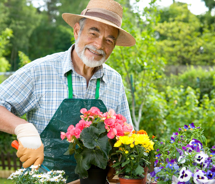 Tuinonderhoud Wognum